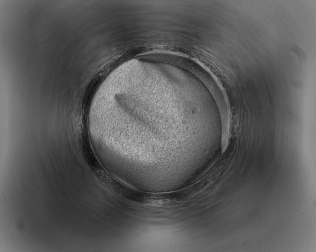 X0000116810746200912311955