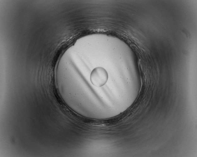 X0000116810747200912311955