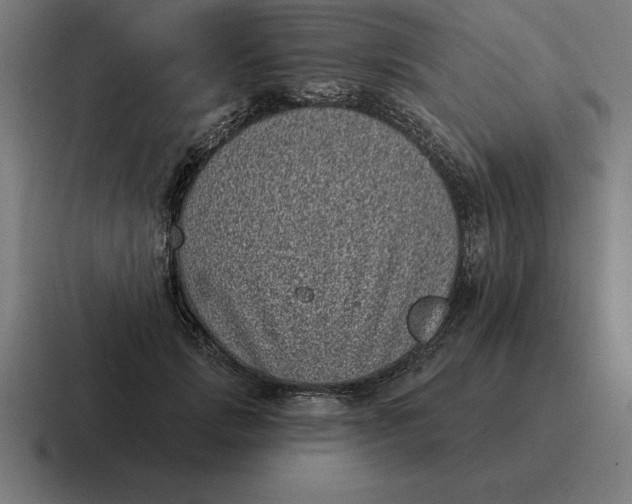 X0000116810749200912311955