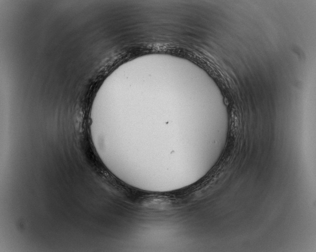 X0000116810750200912311955