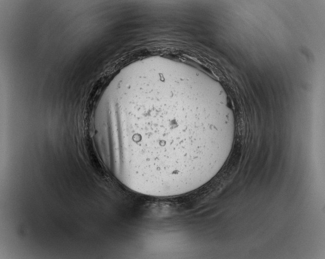 X0000116810751200912311955