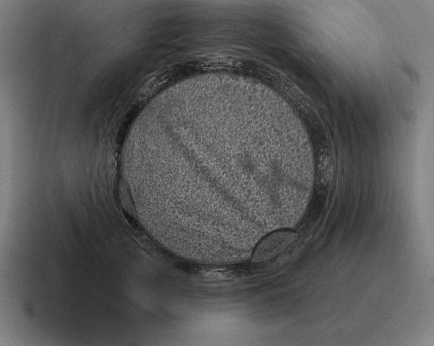 X0000116810753200912311955