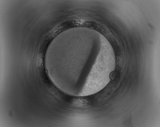 X0000116810754200912311955