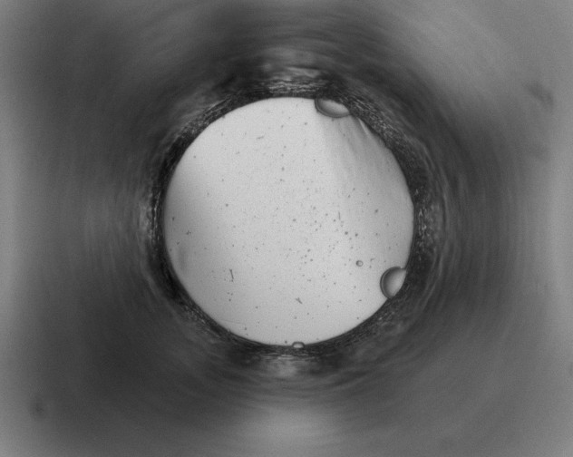 X0000116810755200912311955