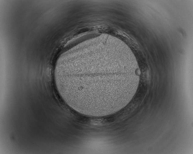 X0000116810757200912311955