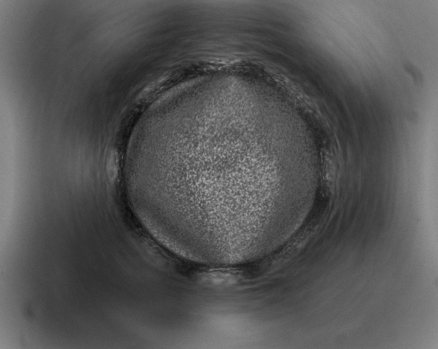 X0000116810758200912311955