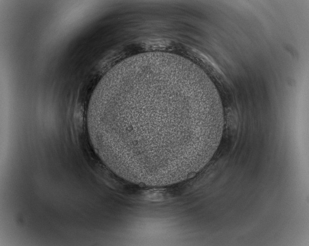 X0000116810761200912311955