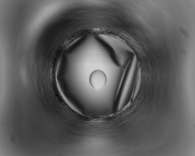 X0000116810762200912311956