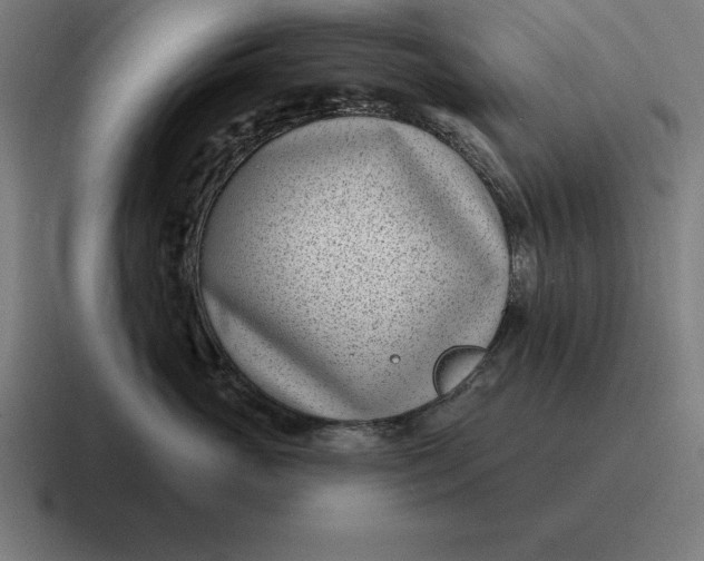 X0000116810765200912311956