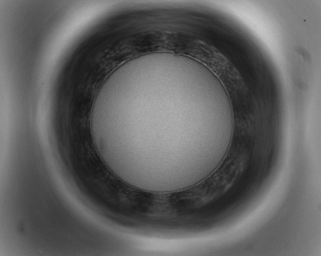 X0000116810766200912311956