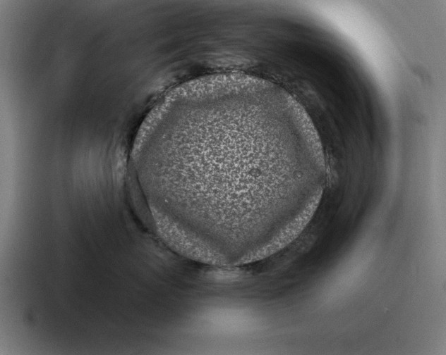 X0000116810767200912311956