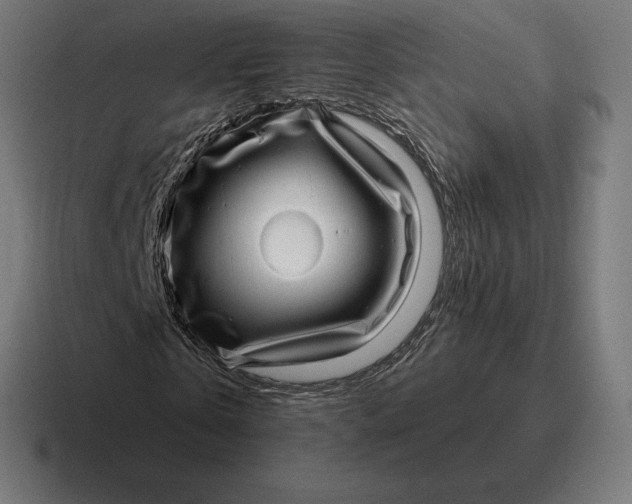 X0000116810769200912311955