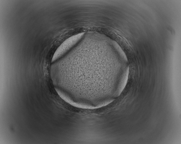 X0000116810770200912311955