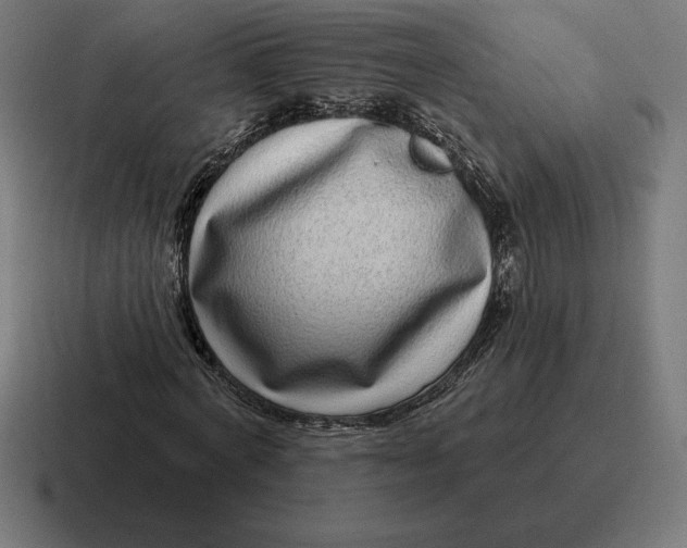 X0000116810772200912311955