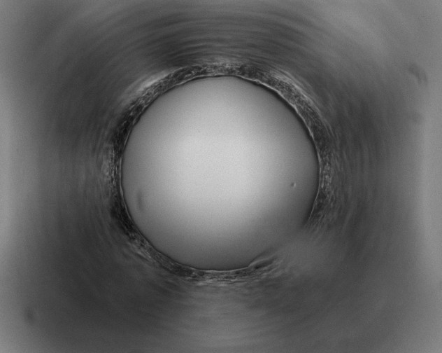 X0000116810773200912311955