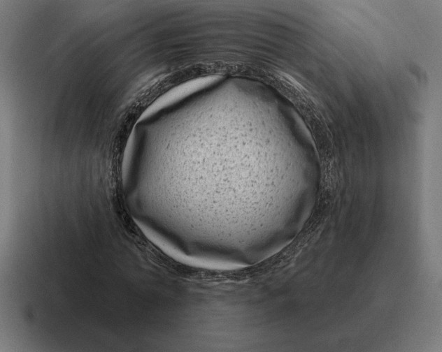 X0000116810774200912311955