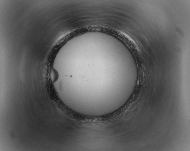 X0000116810775200912311955