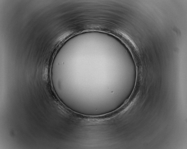 X0000116810777200912311955