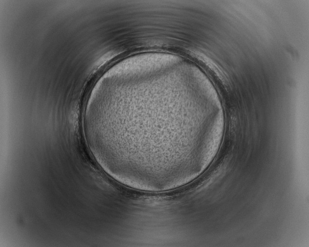 X0000116810778200912311955