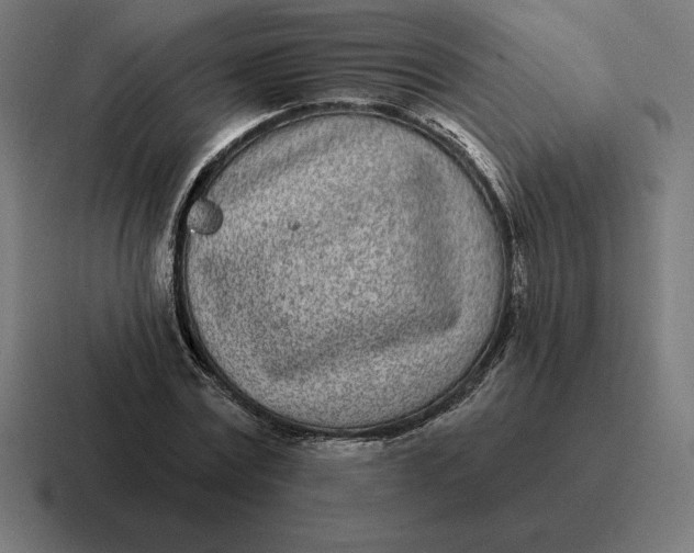 X0000116810779200912311955