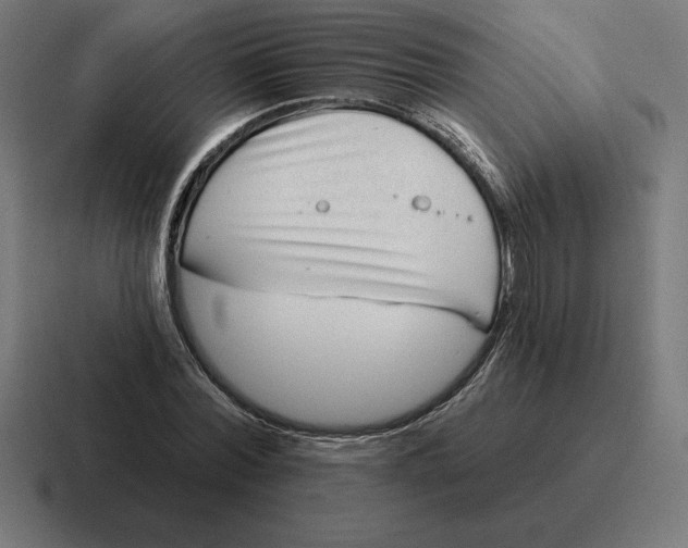 X0000116810780200912311955