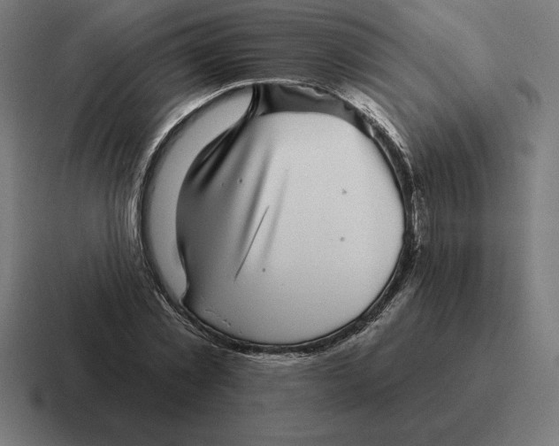 X0000116810781200912311955