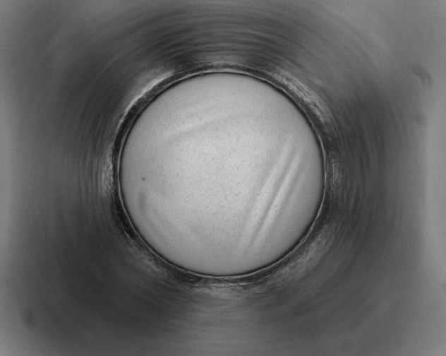 X0000116810782200912311955