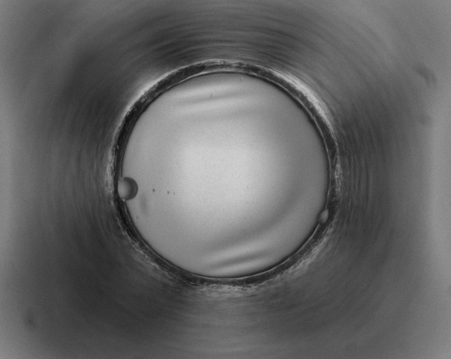 X0000116810783200912311955