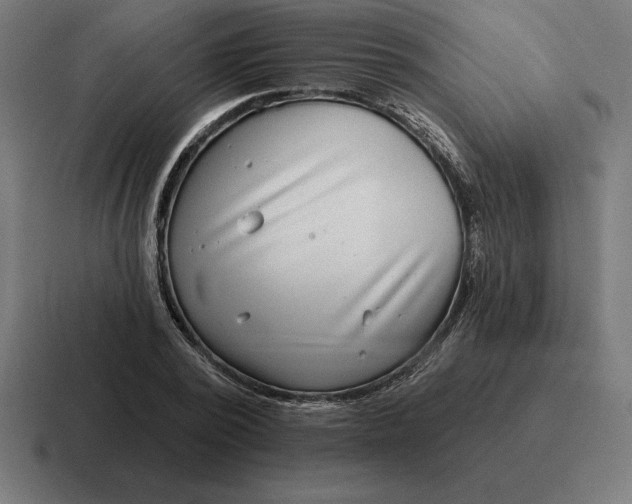 X0000116810784200912311955