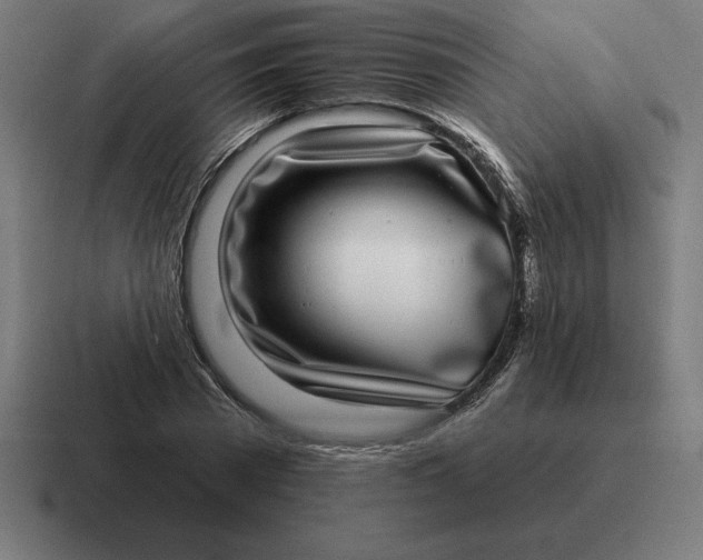 X0000116810785200912311955