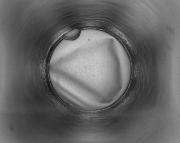 X0000116810786200912311955