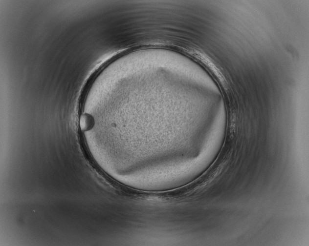 X0000116810787200912311955