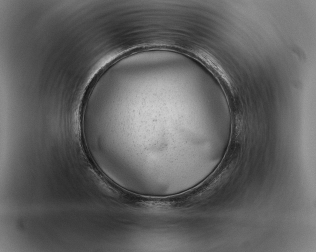 X0000116810789200912311955