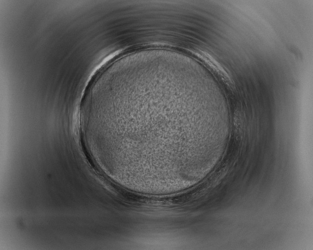 X0000116810790200912311955