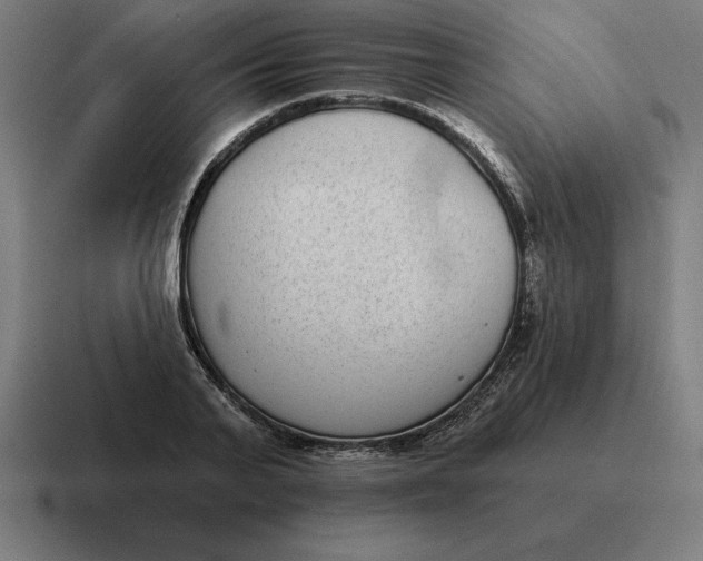 X0000116810791200912311955