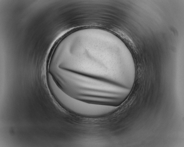 X0000116810792200912311955