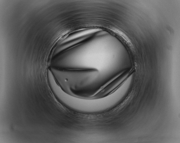 X0000116810793200912311955