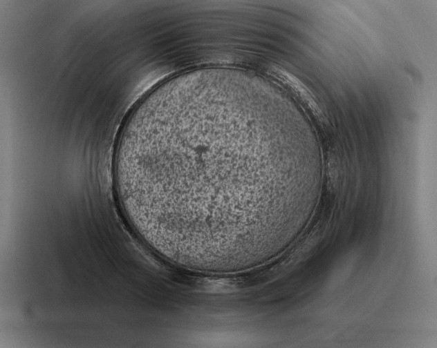 X0000116810794200912311955