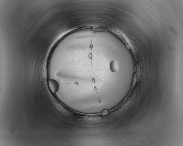 X0000116810795200912311955