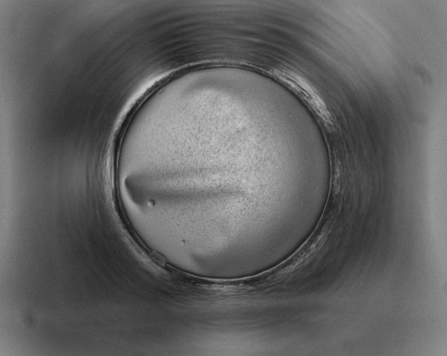 X0000116810796200912311955