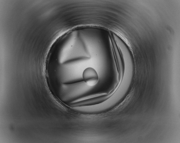 X0000116810797200912311955