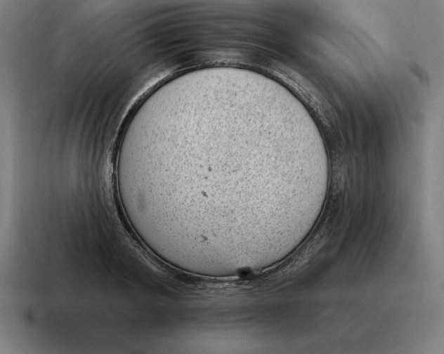 X0000116810798200912311955