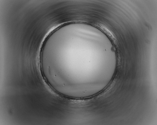 X0000116810800200912311955