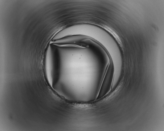 X0000116810801200912311955