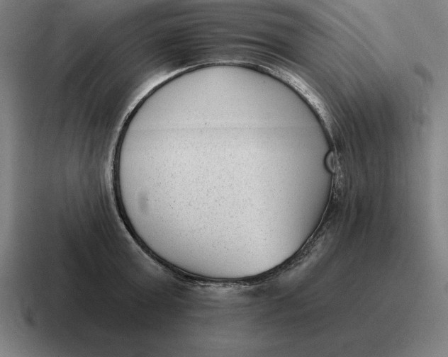 X0000116810803200912311955