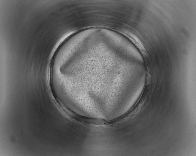 X0000116810804200912311955