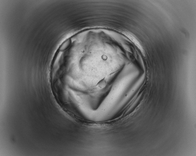 X0000116810805200912311955