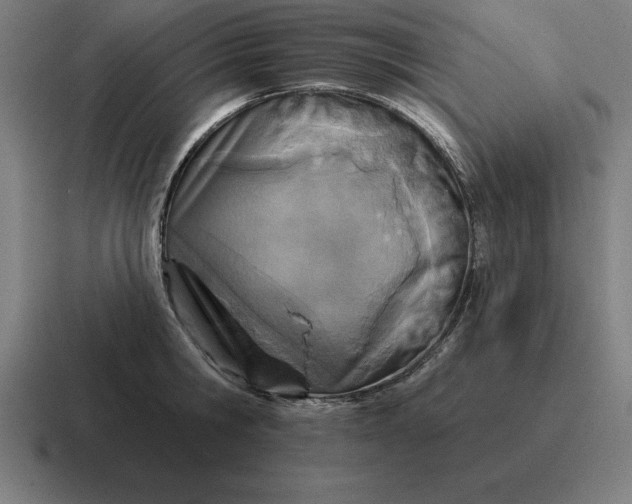 X0000116810806200912311955