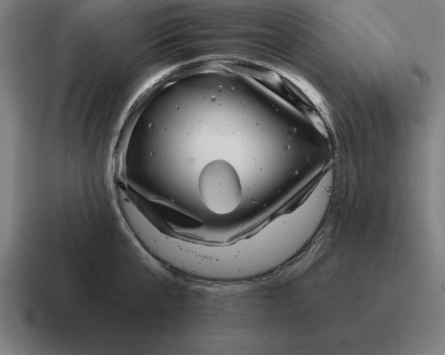 X0000116810807200912311955