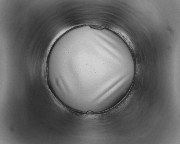 X0000116810808200912311954